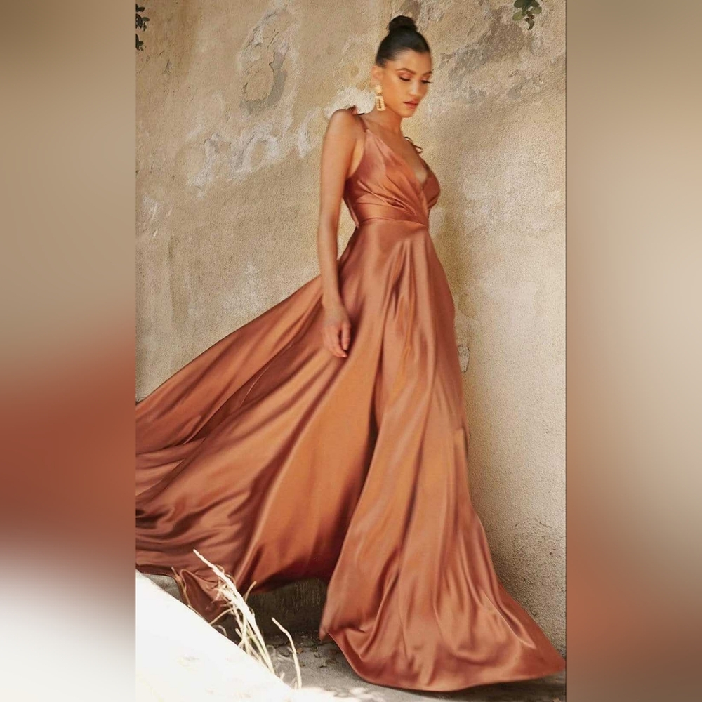 Ladivine Sienna evening gown